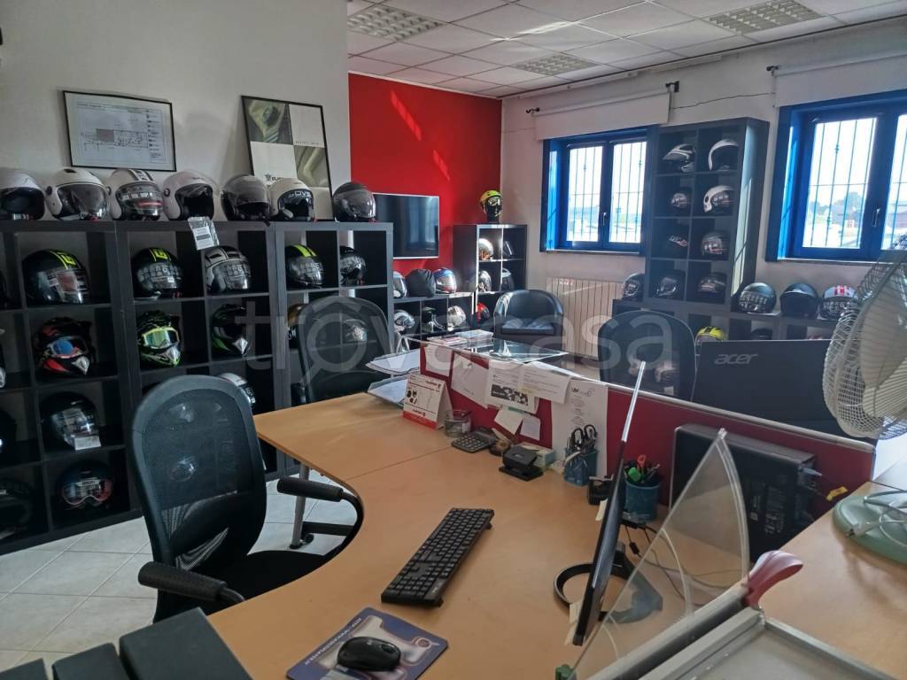 immagine annuncio 2 di 8