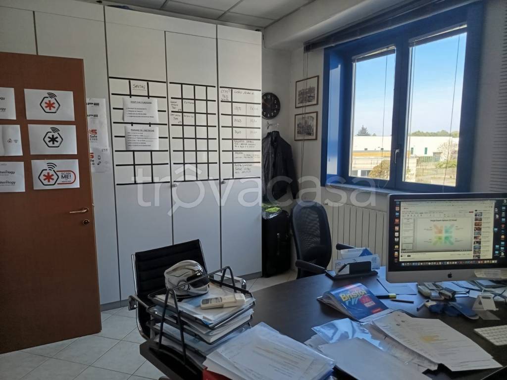 immagine annuncio 5 di 8