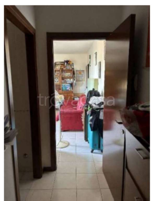 immagine annuncio 7 di 12