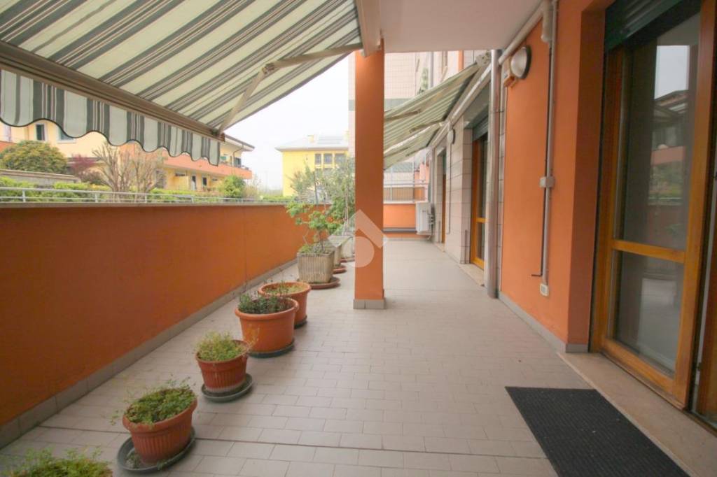 immagine annuncio 7 di 15