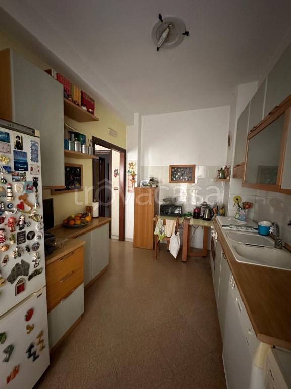 immagine annuncio 5 di 14