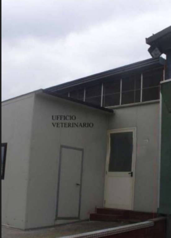 immagine annuncio 2 di 12