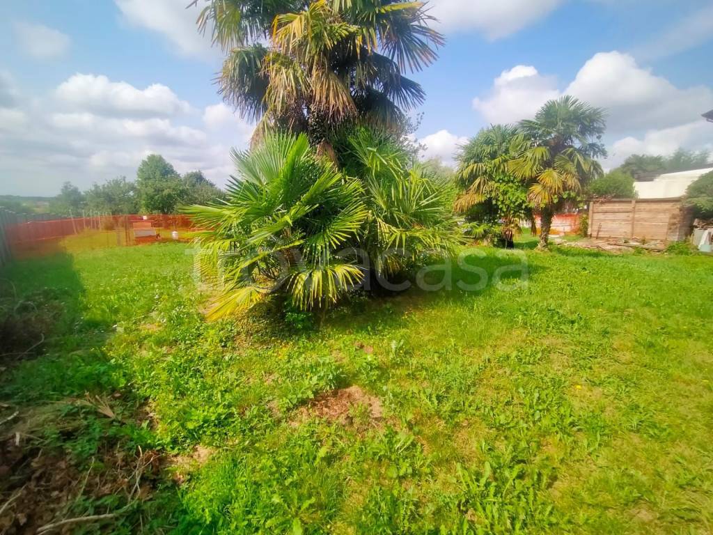 immagine annuncio 8 di 12