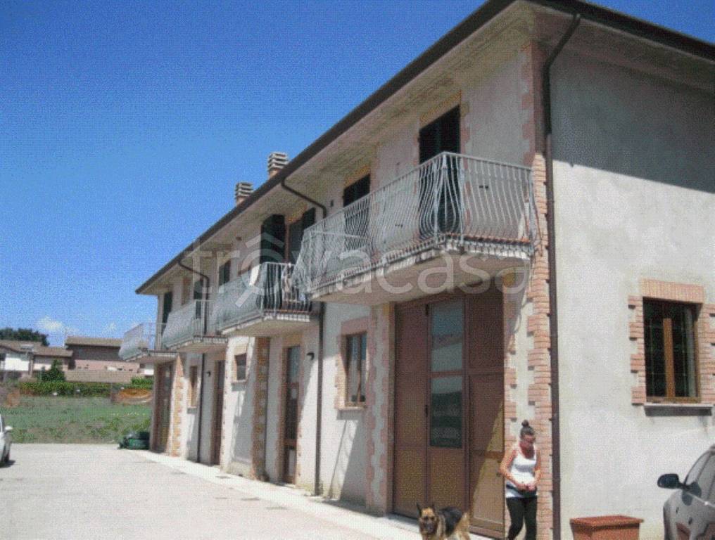 immagine annuncio 8 di 11
