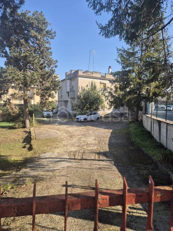 immagine annuncio 6 di 14