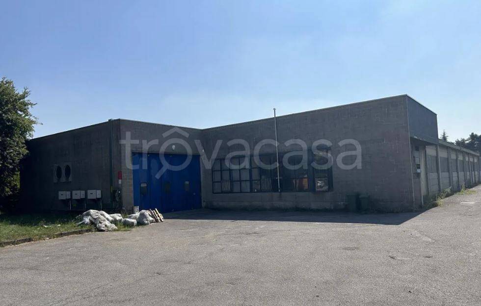 immagine annuncio 1 di 14