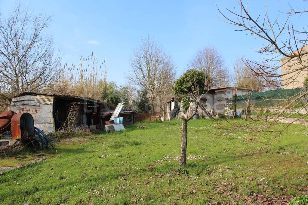 immagine annuncio 4 di 15