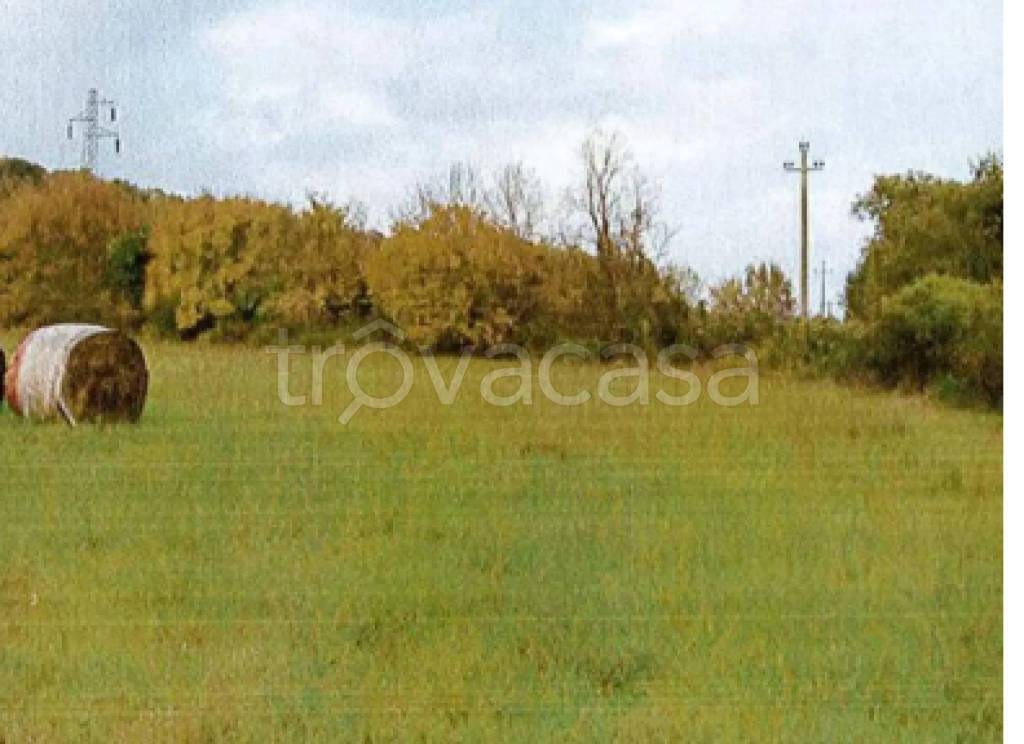 immagine annuncio 7 di 9