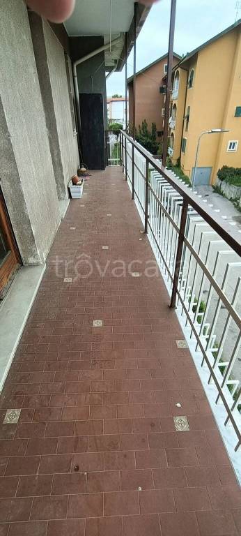 immagine annuncio 6 di 12