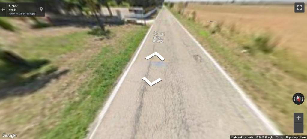 immagine annuncio 6 di 14