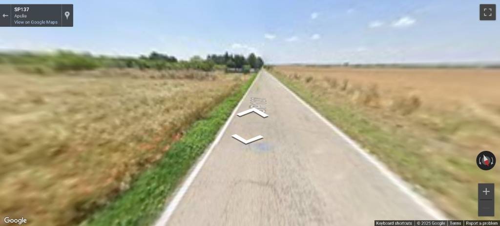 immagine annuncio 8 di 14