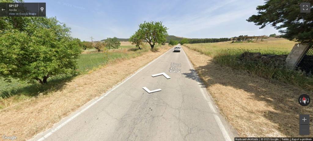 immagine annuncio 13 di 14
