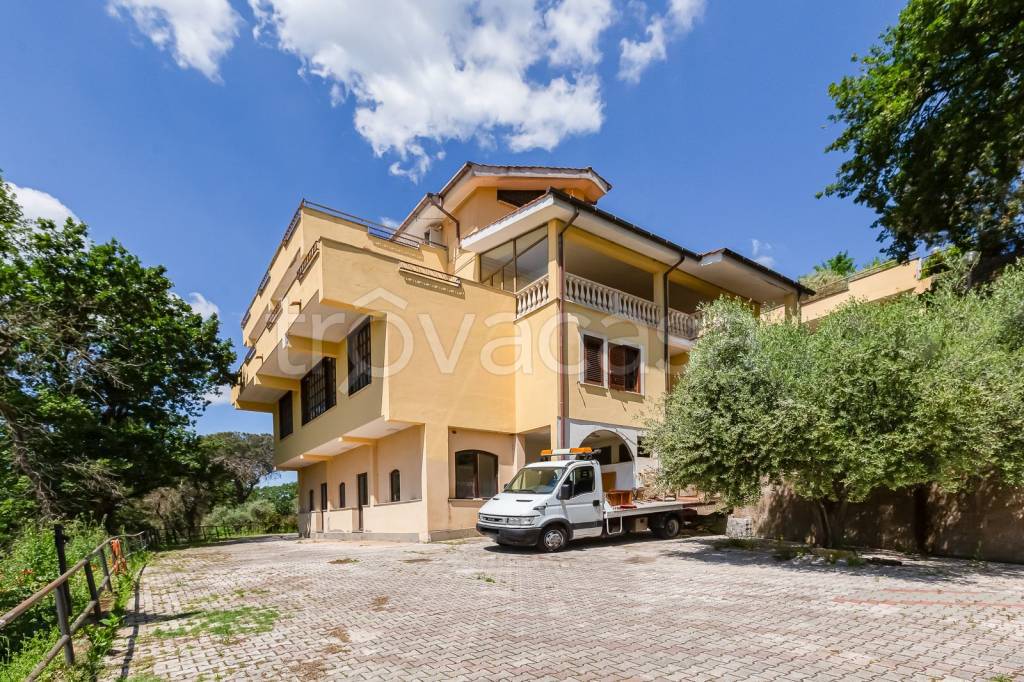 immagine annuncio 3 di 11