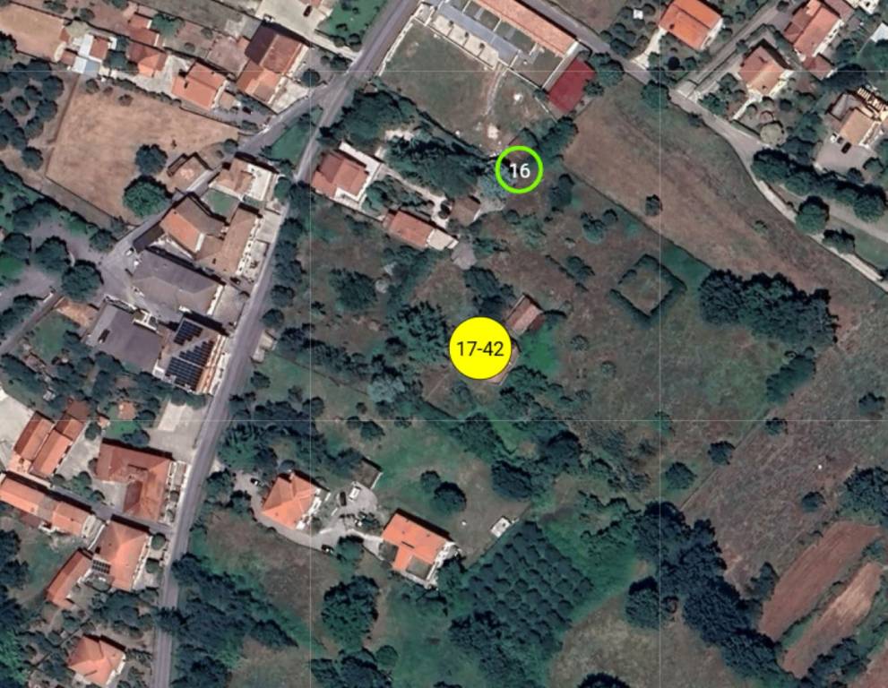 immagine annuncio 9 di 11