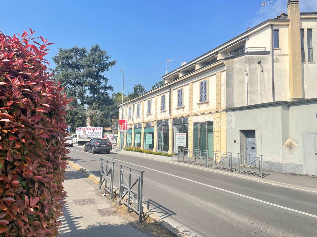 immagine annuncio 14 di 15