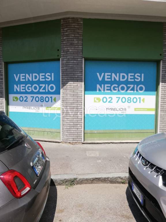 immagine annuncio 11 di 15