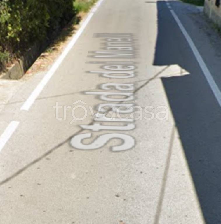 immagine annuncio 12 di 14