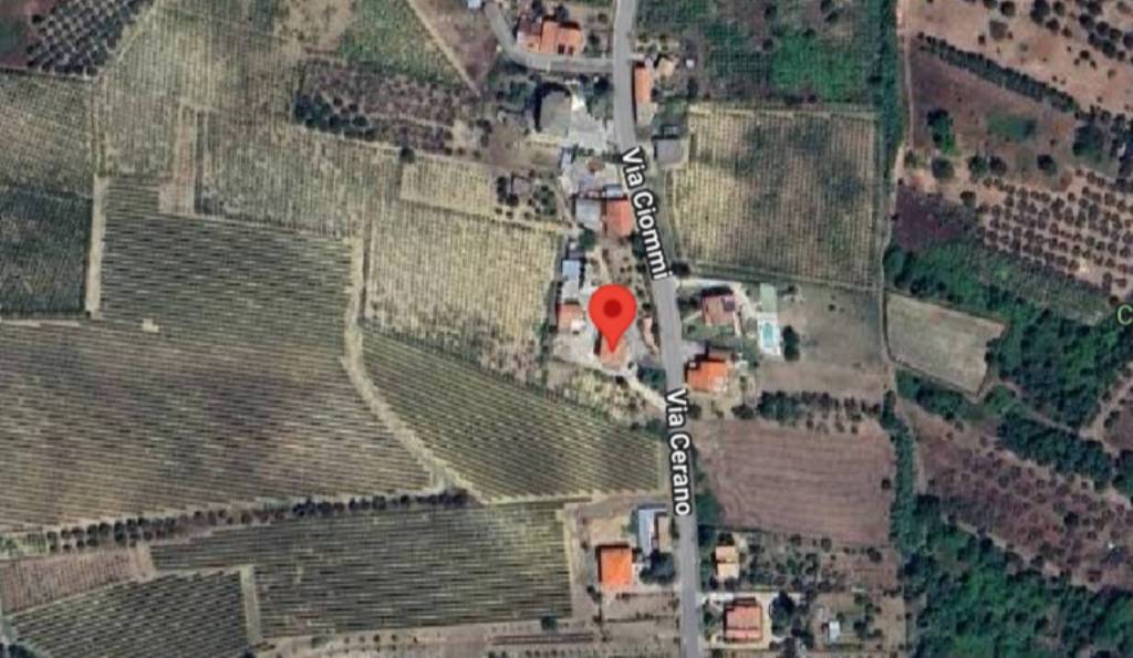 immagine annuncio 6 di 11