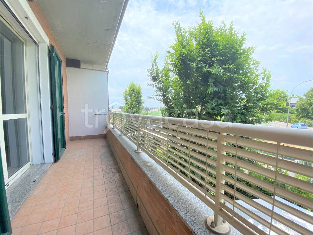 immagine annuncio 6 di 14