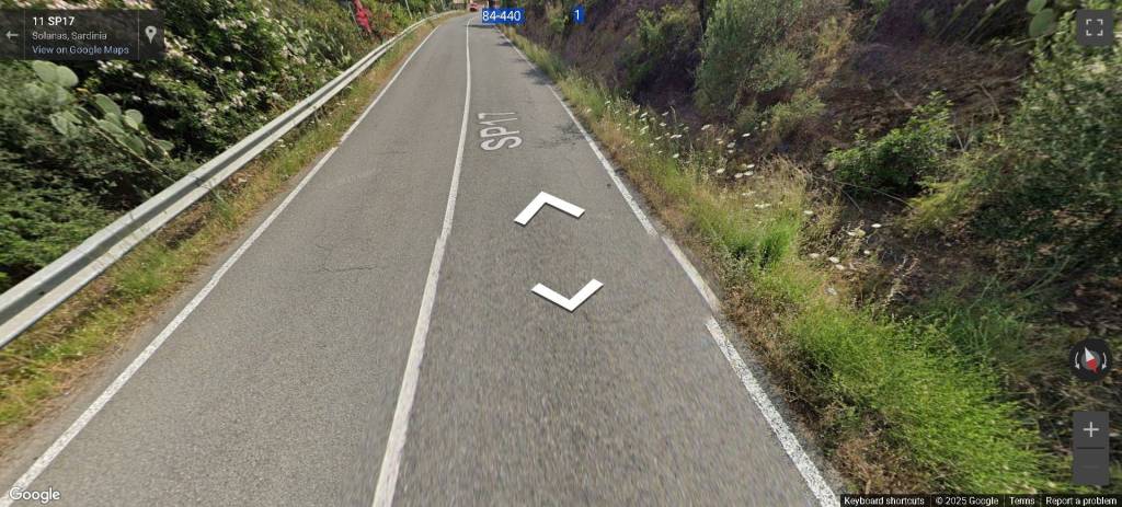 immagine annuncio 1 di 14