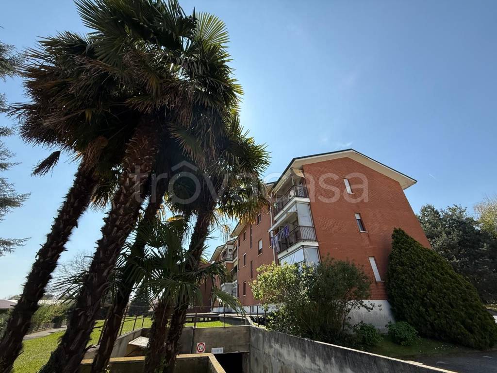 immagine annuncio 6 di 15