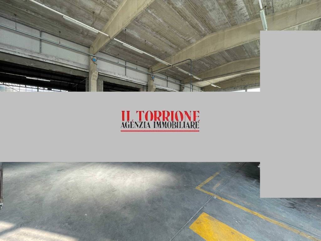 immagine annuncio 5 di 7