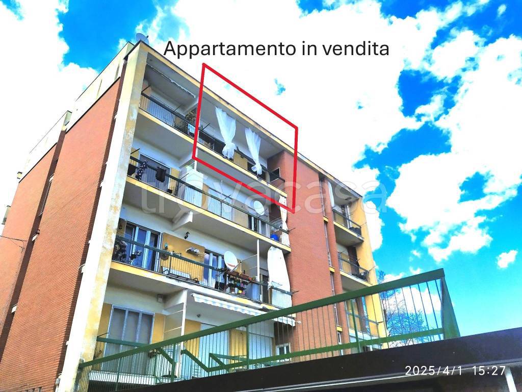 immagine annuncio 2 di 15