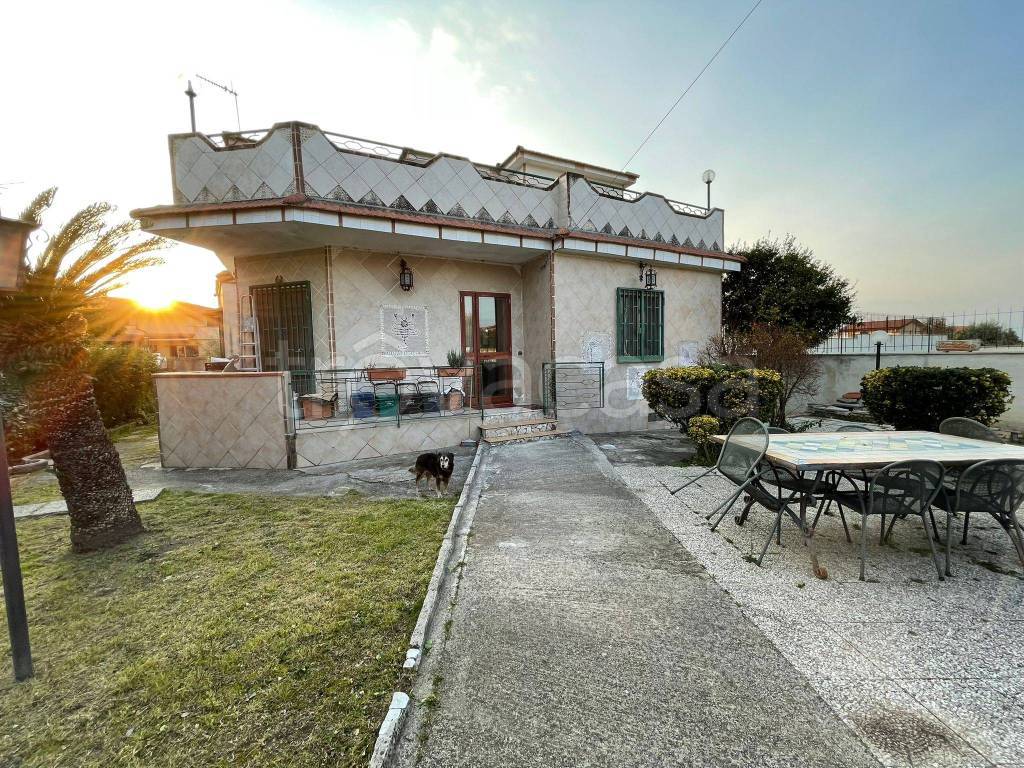 immagine annuncio 12 di 13