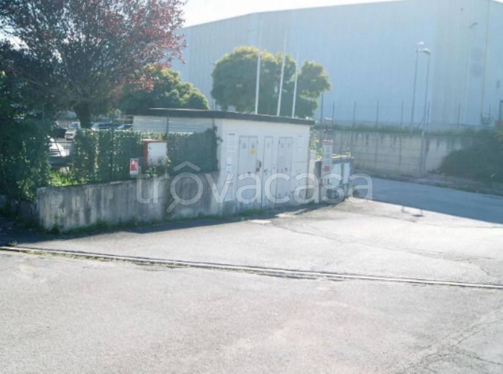 immagine annuncio 7 di 11