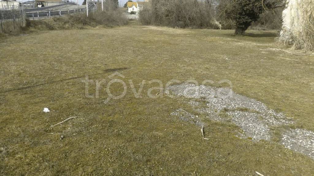 immagine annuncio 1 di 12