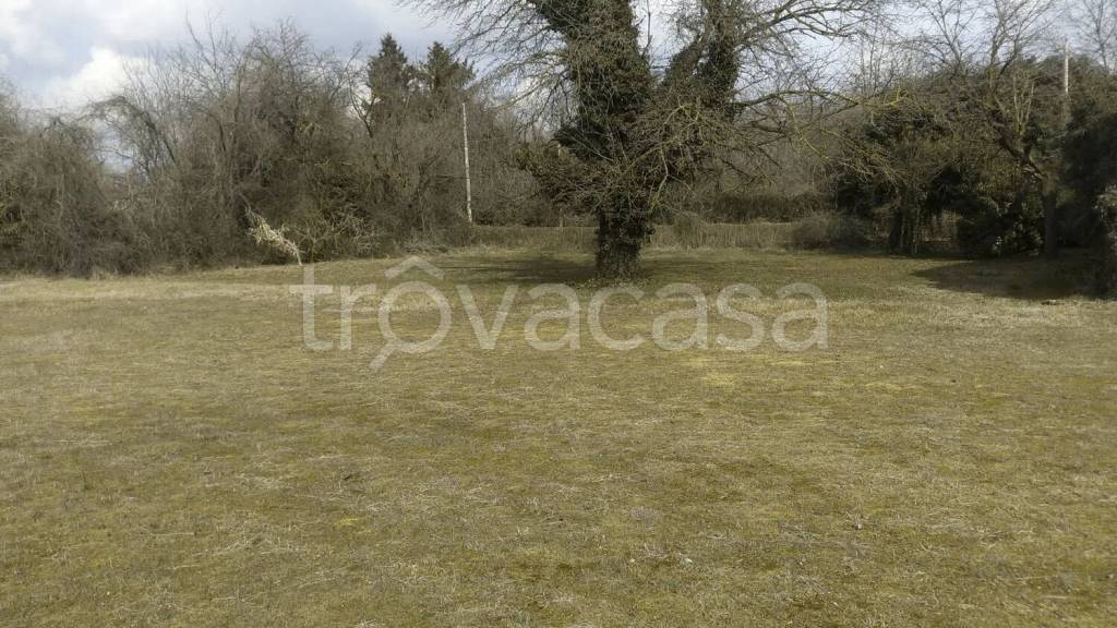 immagine annuncio 3 di 12