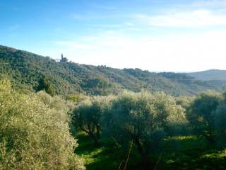 Villa bifamiliare in vendita a imperia 