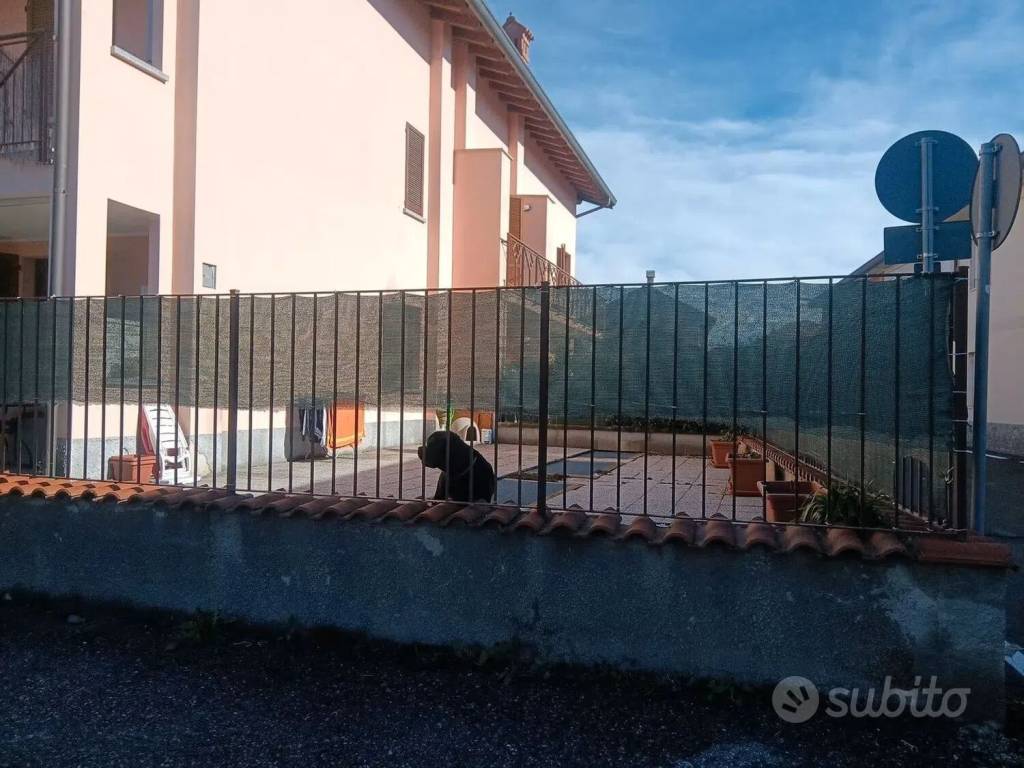 immagine annuncio 2 di 14