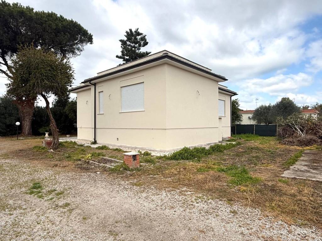 immagine annuncio 3 di 7