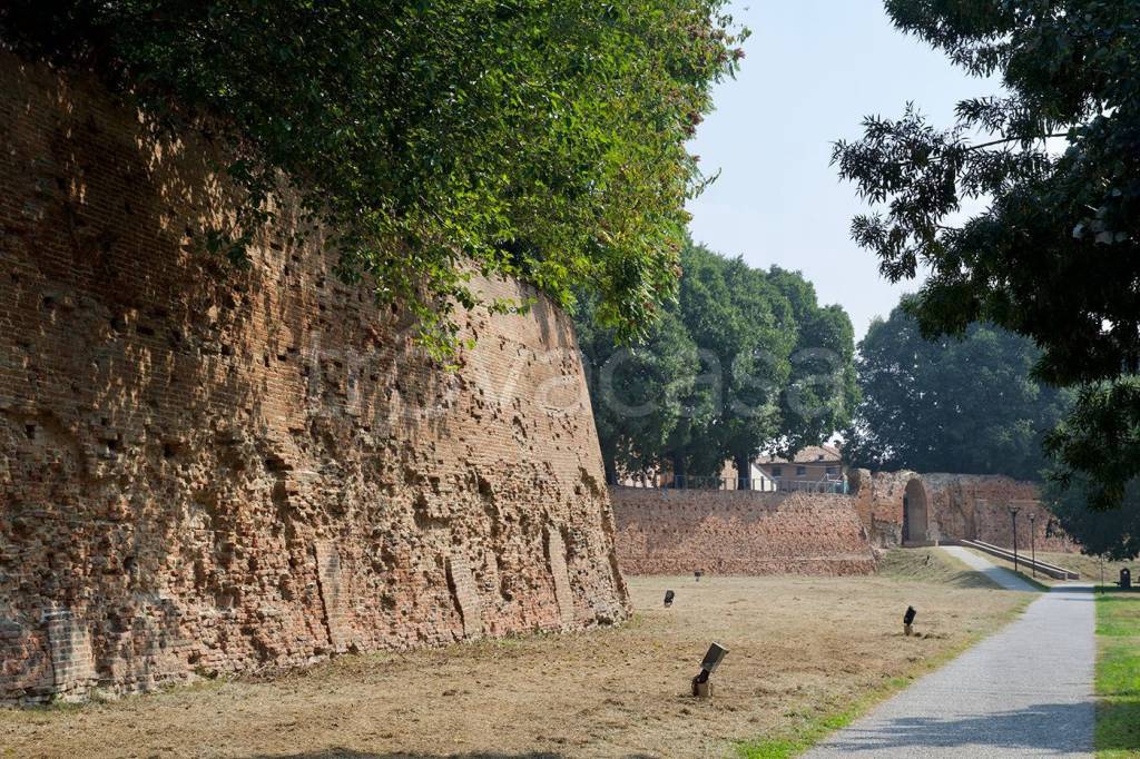 immagine annuncio 9 di 11