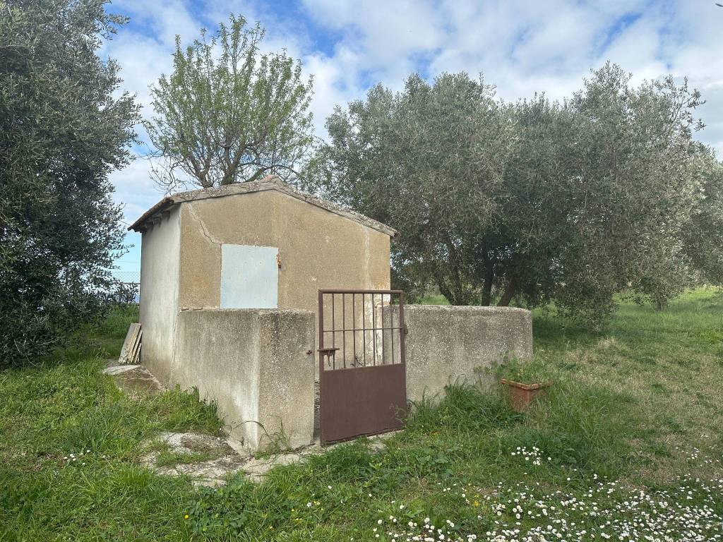 immagine annuncio 10 di 15