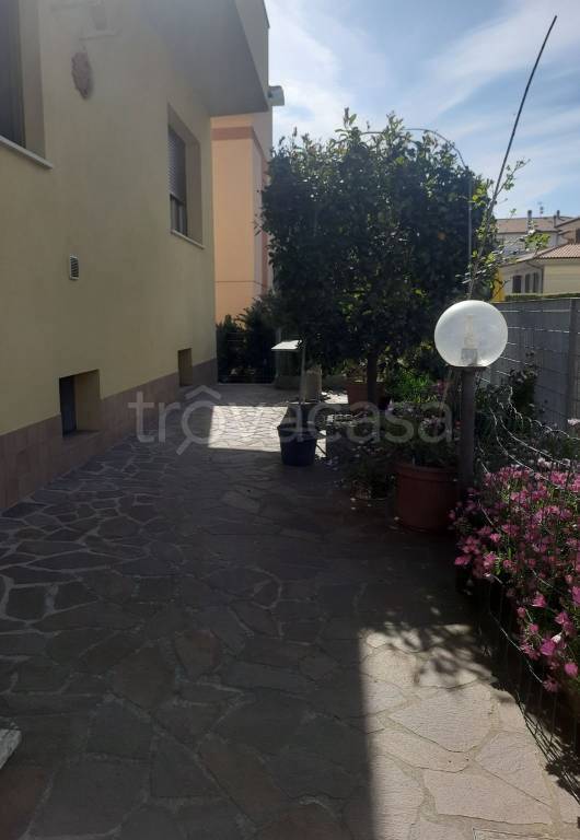 immagine annuncio 1 di 14
