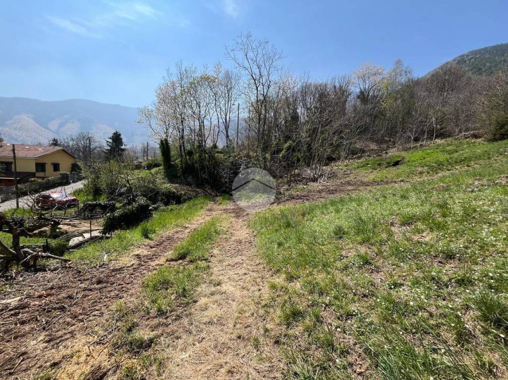 immagine annuncio 10 di 12