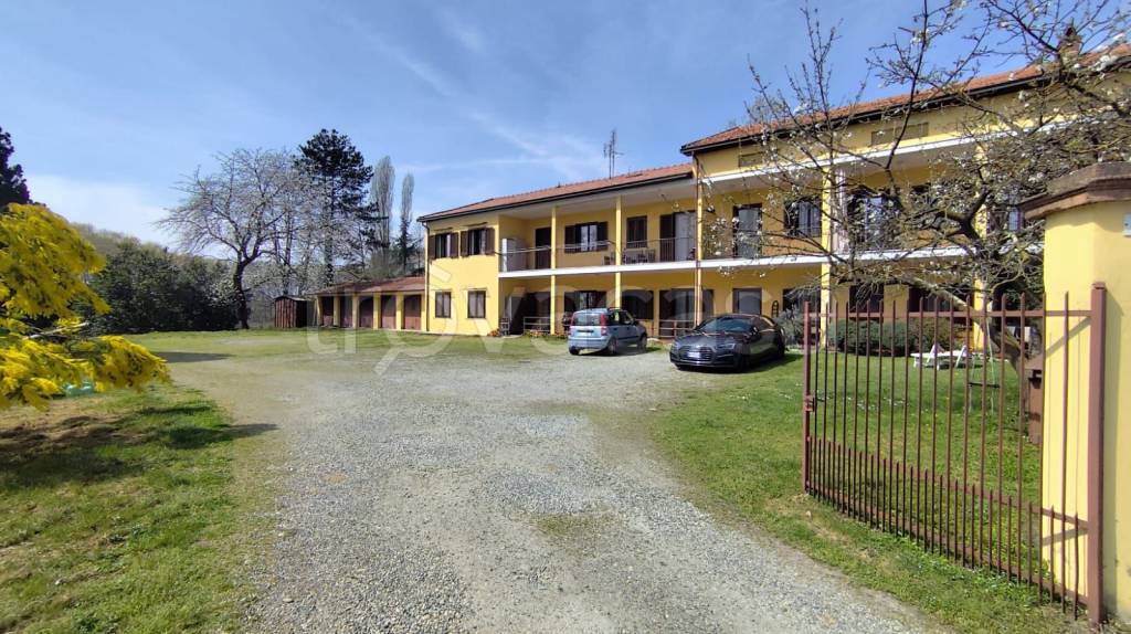 immagine annuncio 10 di 15