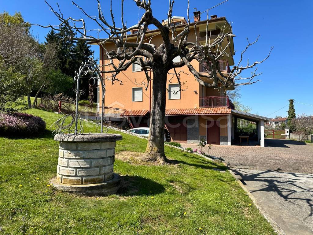 immagine annuncio 3 di 15