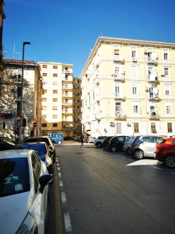 immagine annuncio 9 di 14
