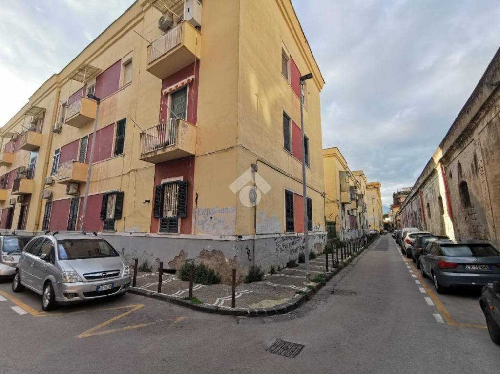 immagine annuncio 11 di 14