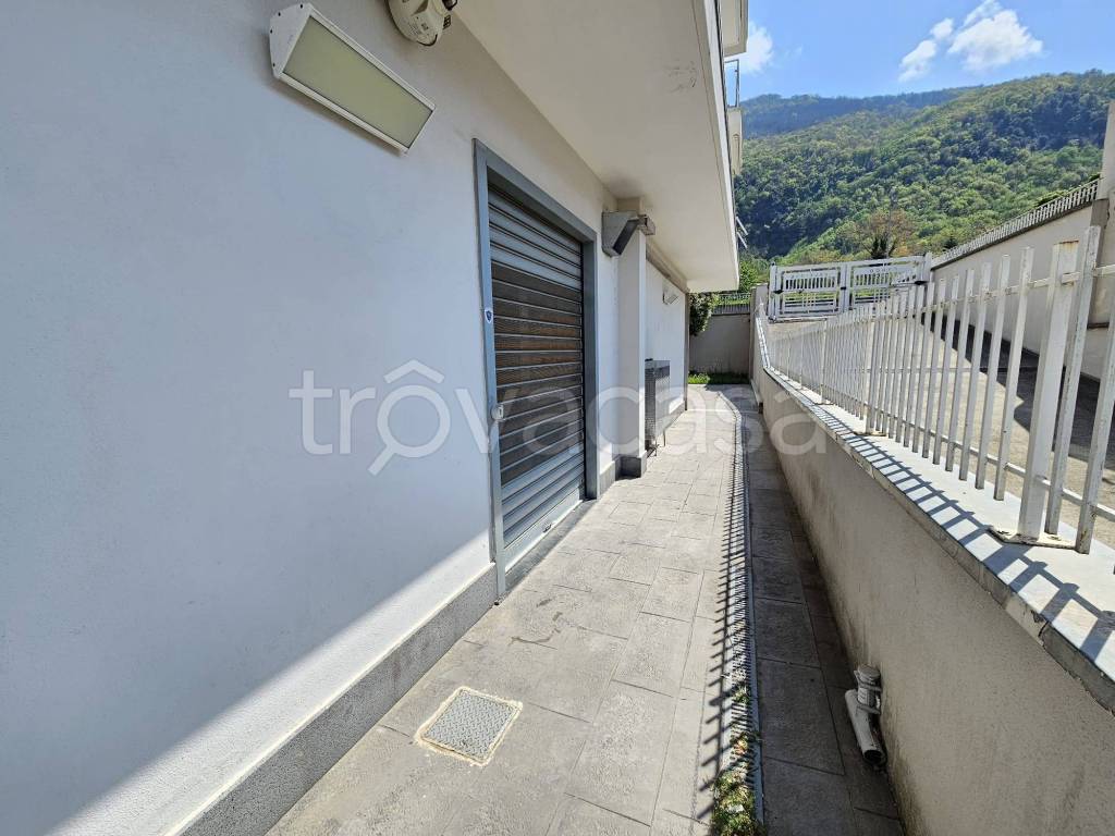 immagine annuncio 4 di 14