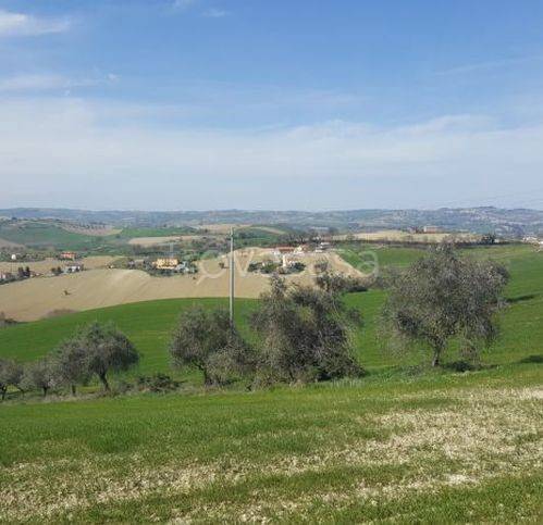 immagine annuncio 2 di 6