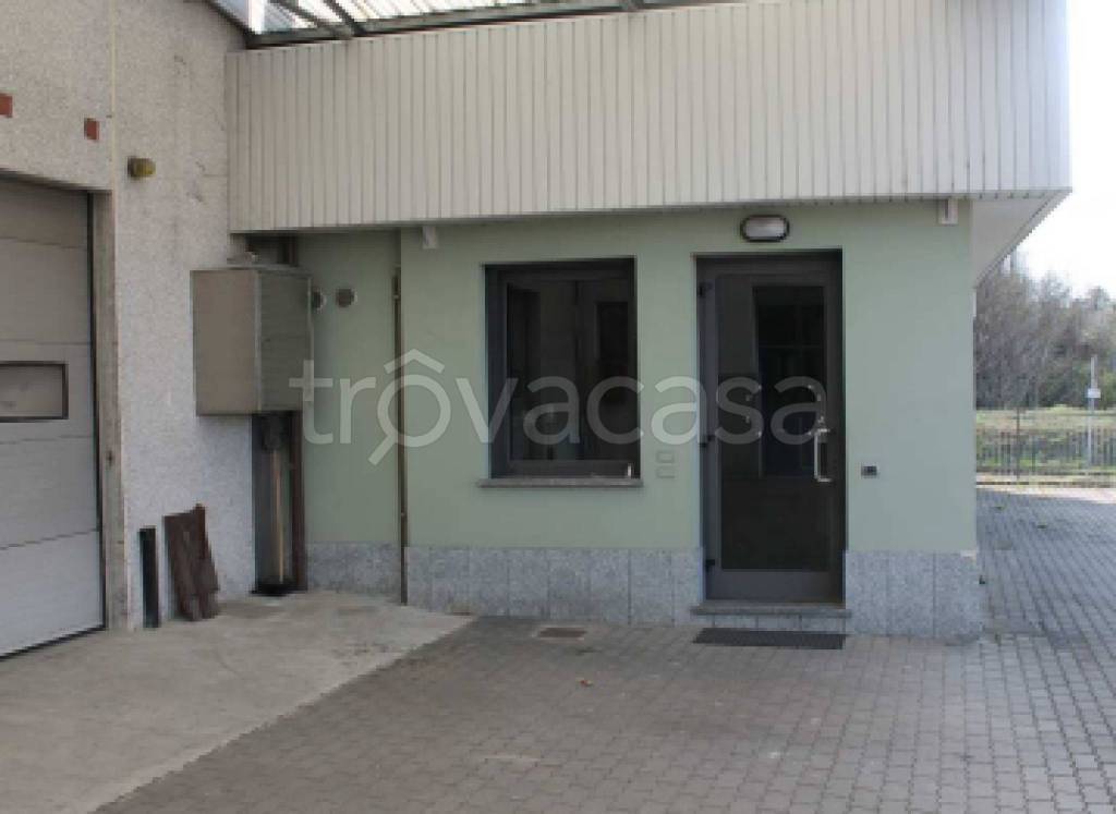 immagine annuncio 9 di 12