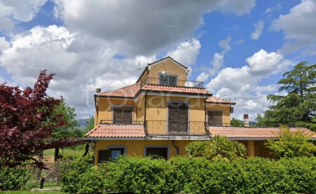 immagine annuncio 1 di 14