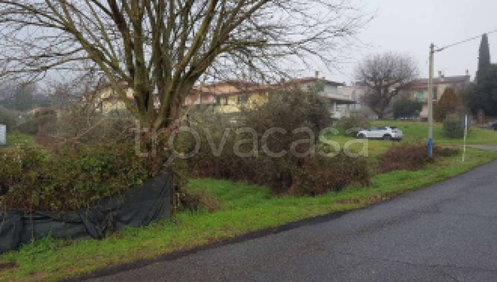immagine annuncio 11 di 12