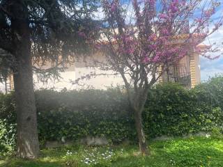 Villa a schiera in in affitto da privato a vico equense 