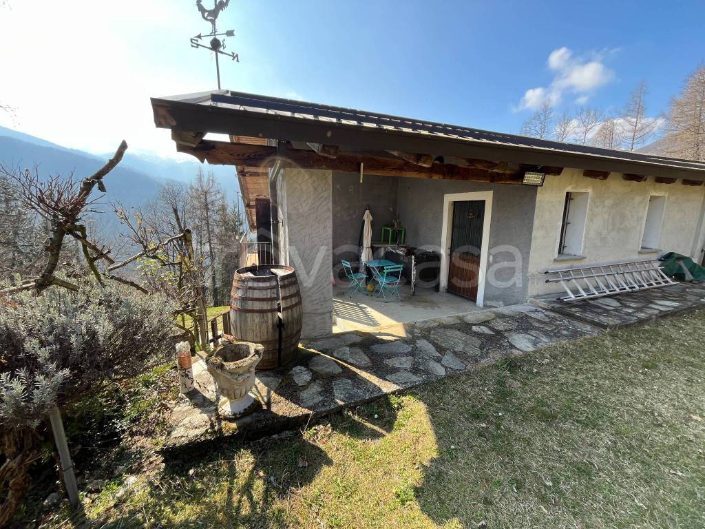 immagine annuncio 7 di 15