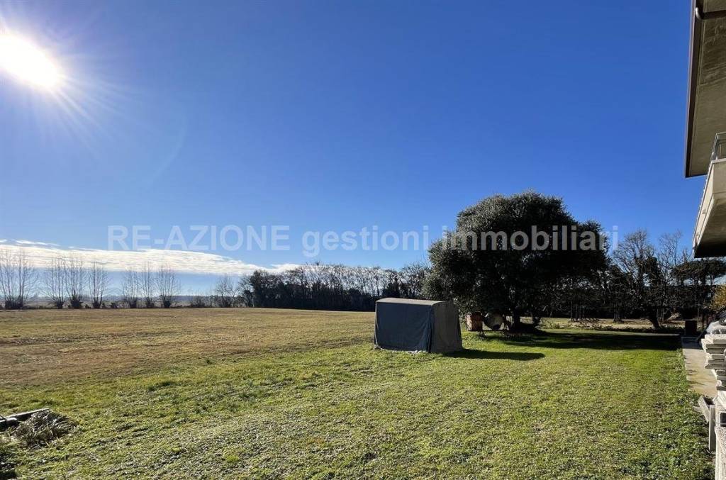 immagine annuncio 12 di 14